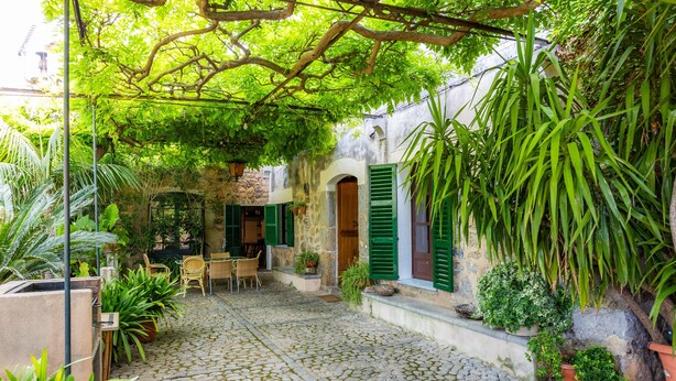 Un patio con suelo de adoquines, contraventanas verdes y plantas en macetas.