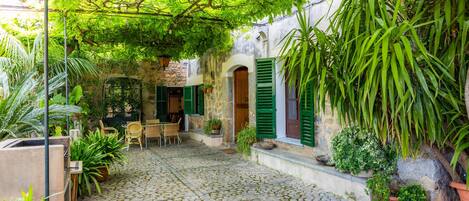 テラス / パティオ