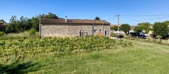Holiday home on a vineyard