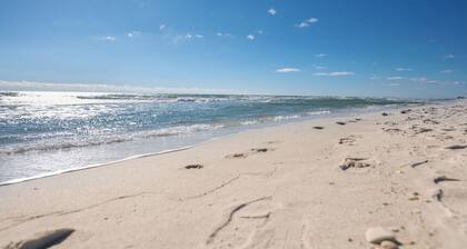 Book Your Gulf Front Ground Floor Condo with Bunks & Pool - Well Stocked & More!