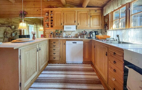 Kühlschrank, Mikrowelle, Herdplatte, Geschirrspüler