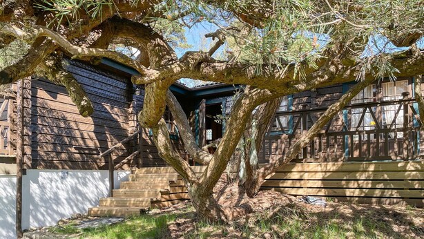 A traditional Japanese-style building with wooden exterior and a large tree in front.
