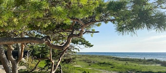 Bella casa a Tofta, Gotland