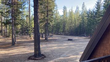 Terrain de l’hébergement