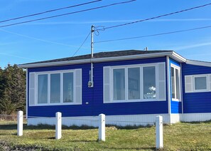 A single-story blue house with white shutters, a visible satellite dish, and a fenced yard.