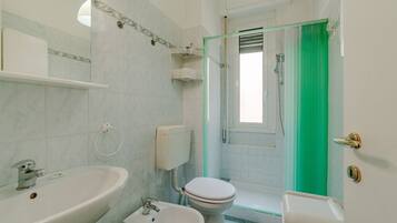 Shower, hair dryer, bidet, towels