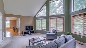 Smart TV, fireplace, books