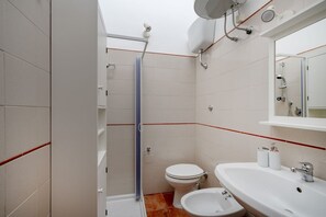 Shower, hair dryer, bidet, towels