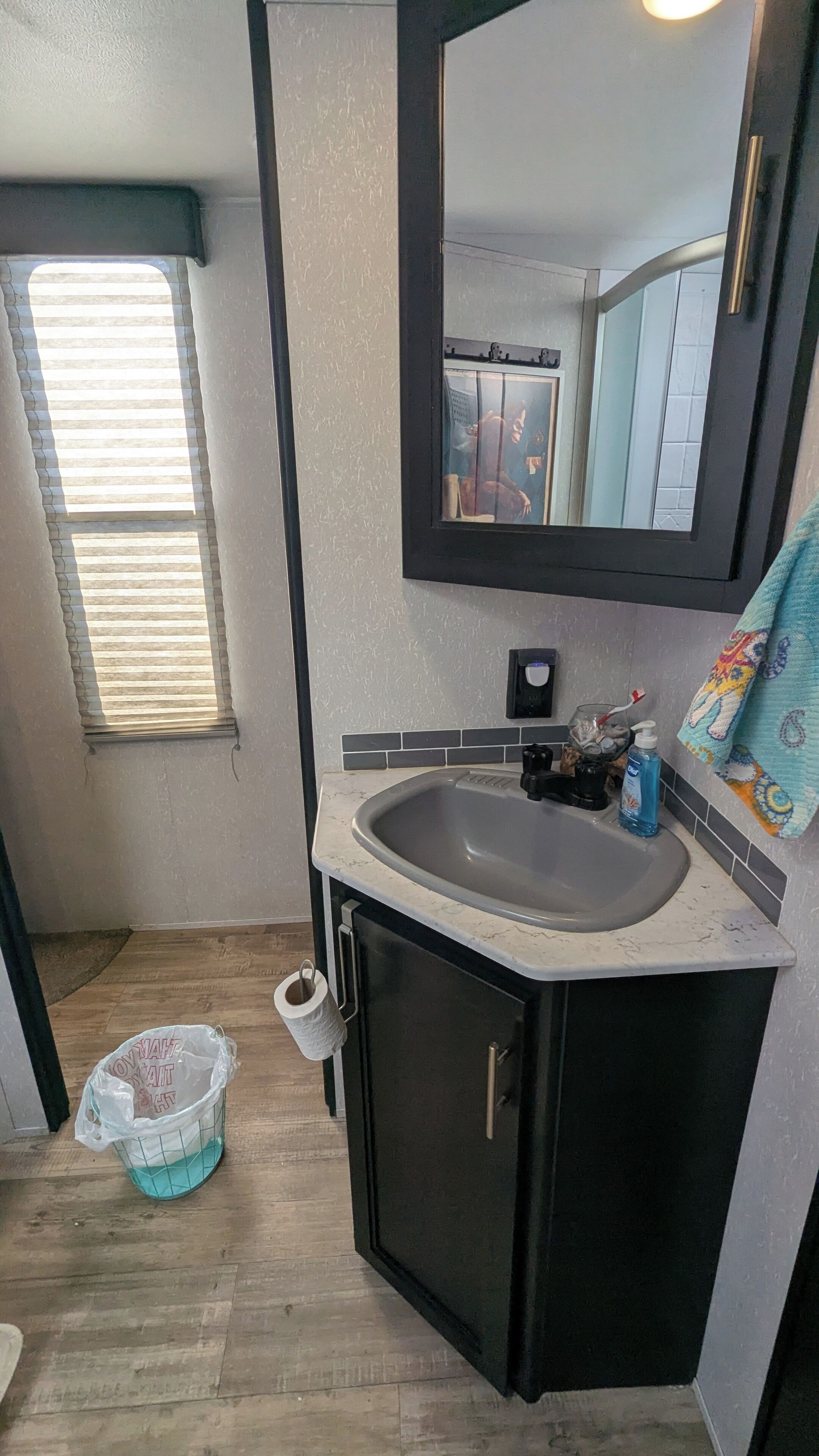 Shower, towels, toilet paper