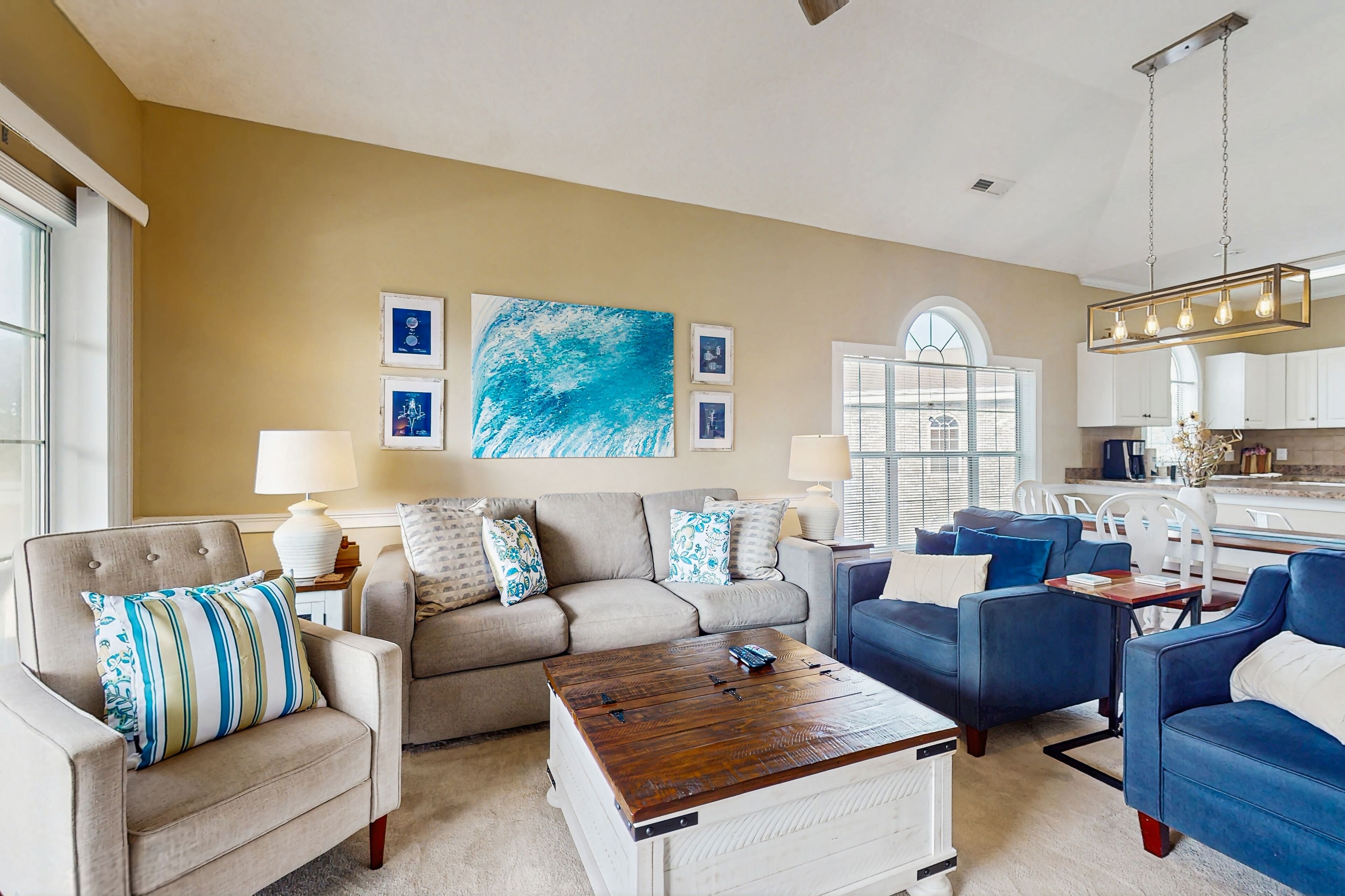 电视、DVD 播放器