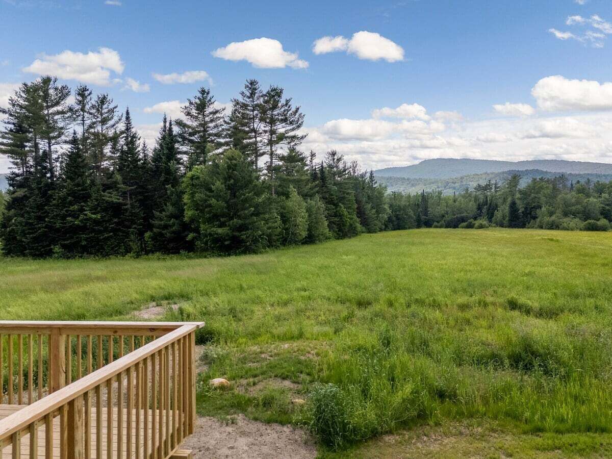 Ein grasbewachsenes Feld mit einer Holzterrasse und dichter Baumgruppe im Hintergrund.