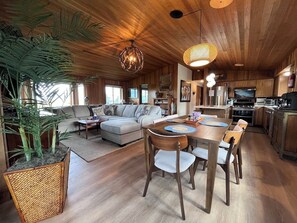 Smart TV, fireplace, DVD player, books