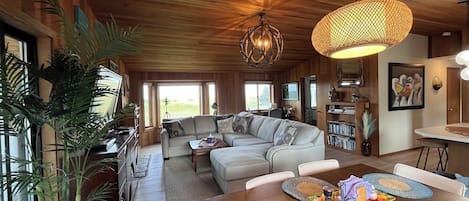 Smart TV, fireplace, DVD player, books