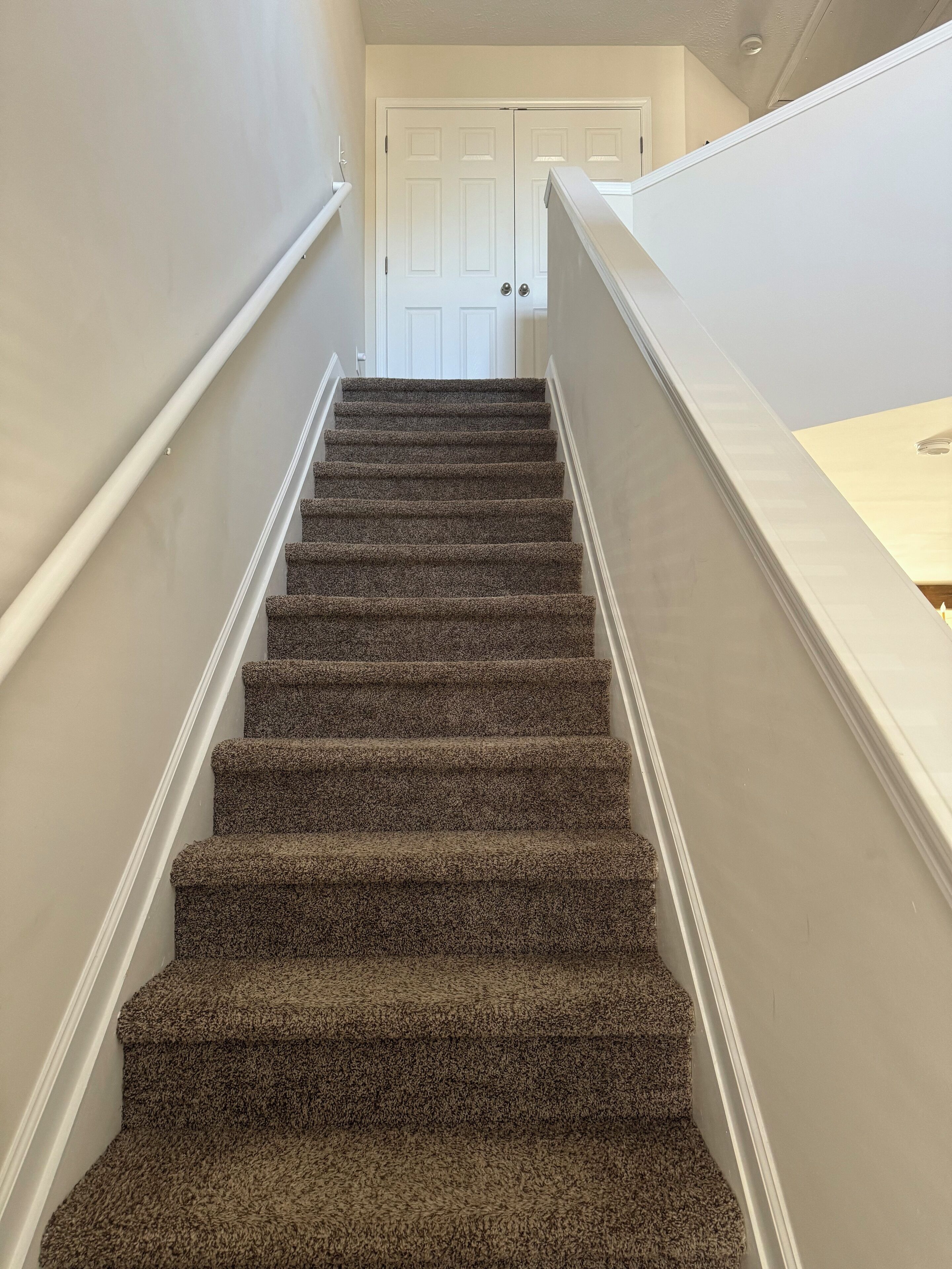 Eine Teppichverkleidete Treppe mit weißen Geländern und einer weißen Tür am oberen Ende.
