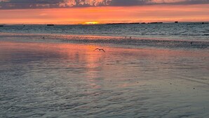 Une plage au coucher du soleil, avec une eau calme et un oiseau volant près du rivage.