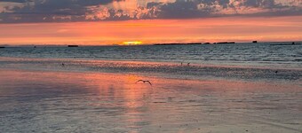 Horizon Bleu II, seafront/garden/parking/wifi