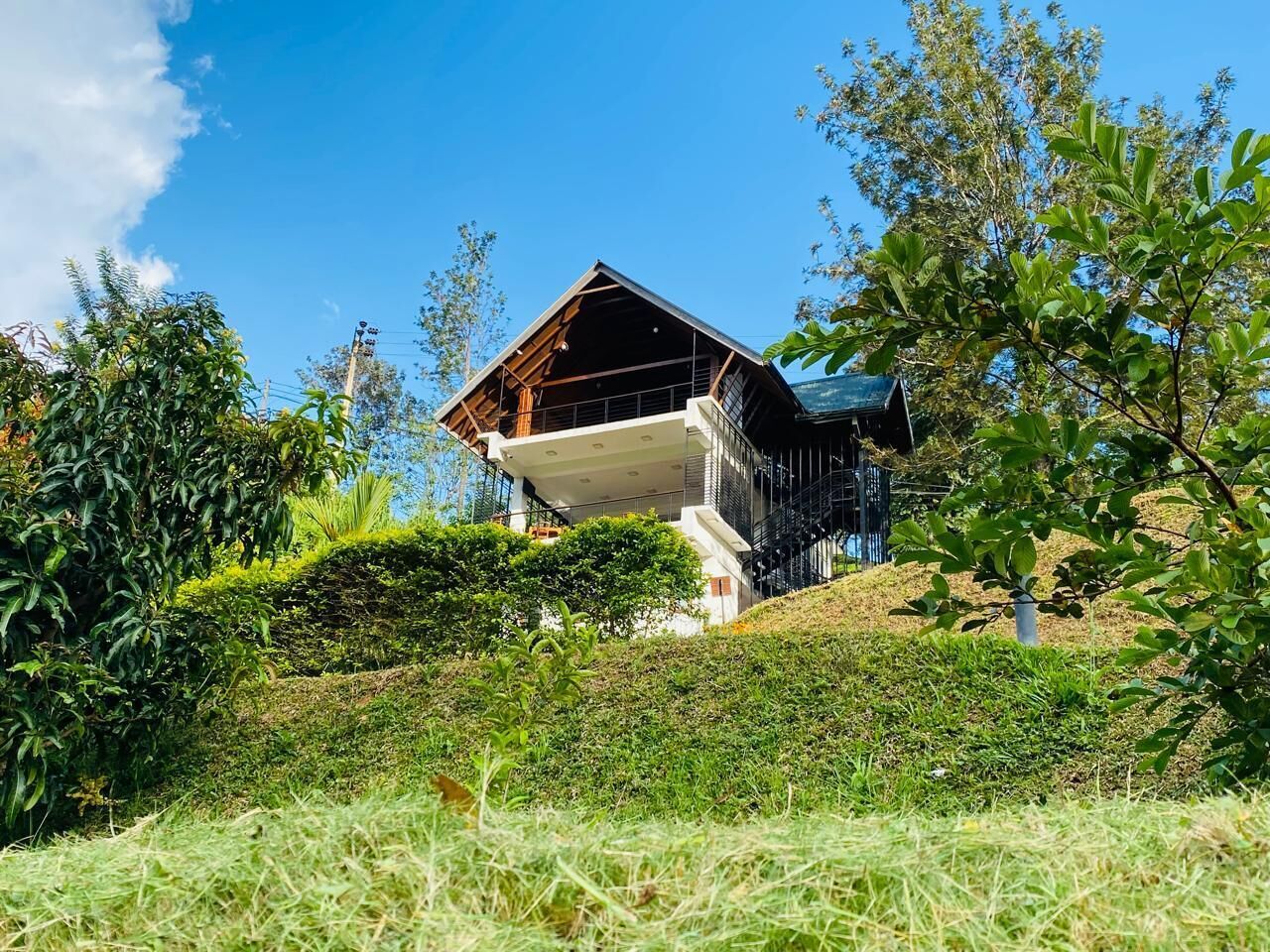 A modern house with a sloped roof, surrounded by lush greenery and trees.