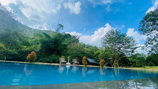 A clear blue pool with two wooden lounge chairs and a small pavilion in a lush, green landscape. - Ella Crest by Aloft (Ella)