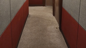 Un couloir étroit aux murs carrelés, doté d’un sol recouvert de moquette et d’une porte d’ascenseur au bout.