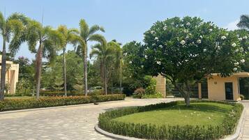 Land view from property