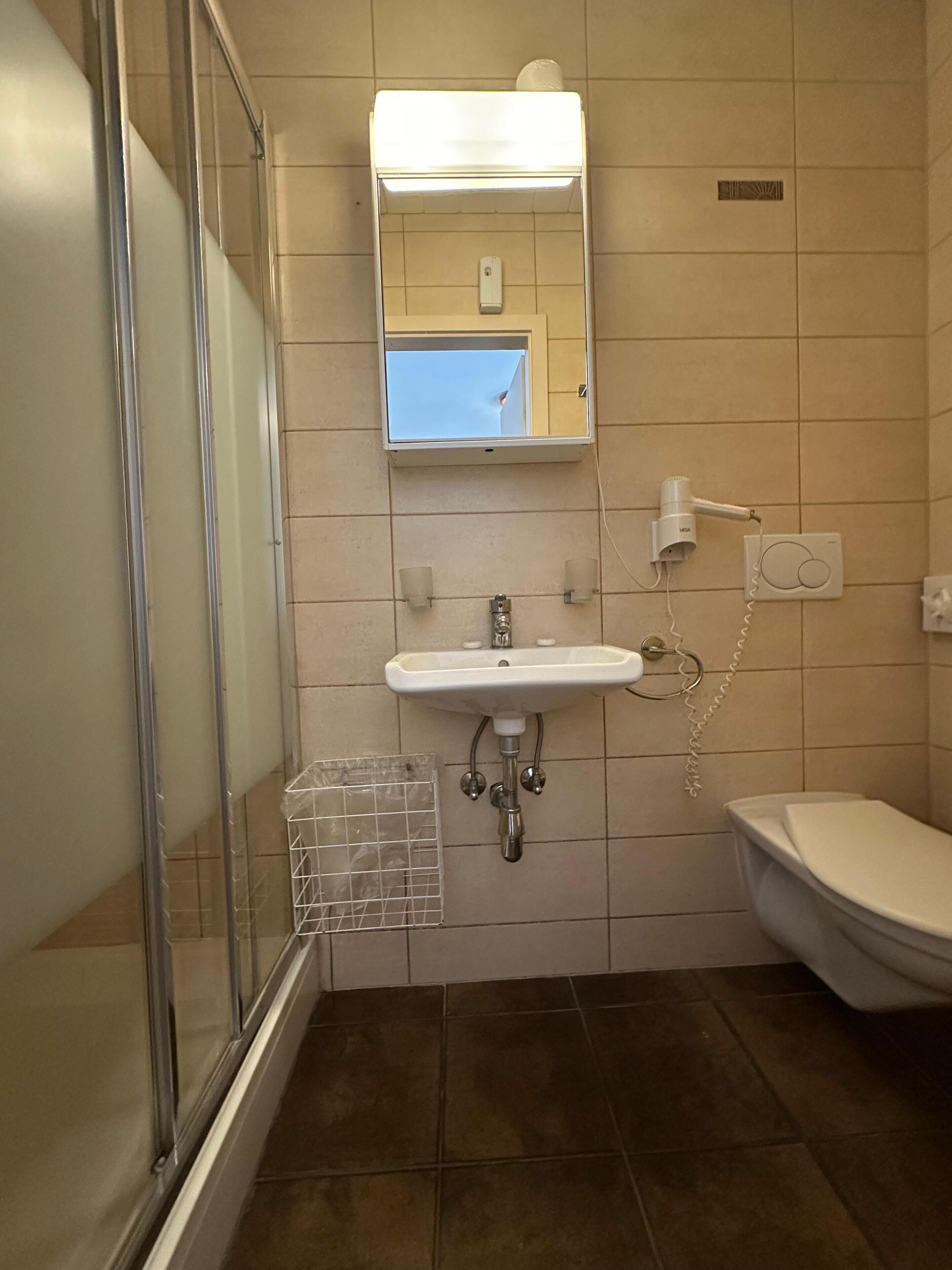 A bathroom with a glass shower enclosure, a sink with a mirror above it, and a toilet.