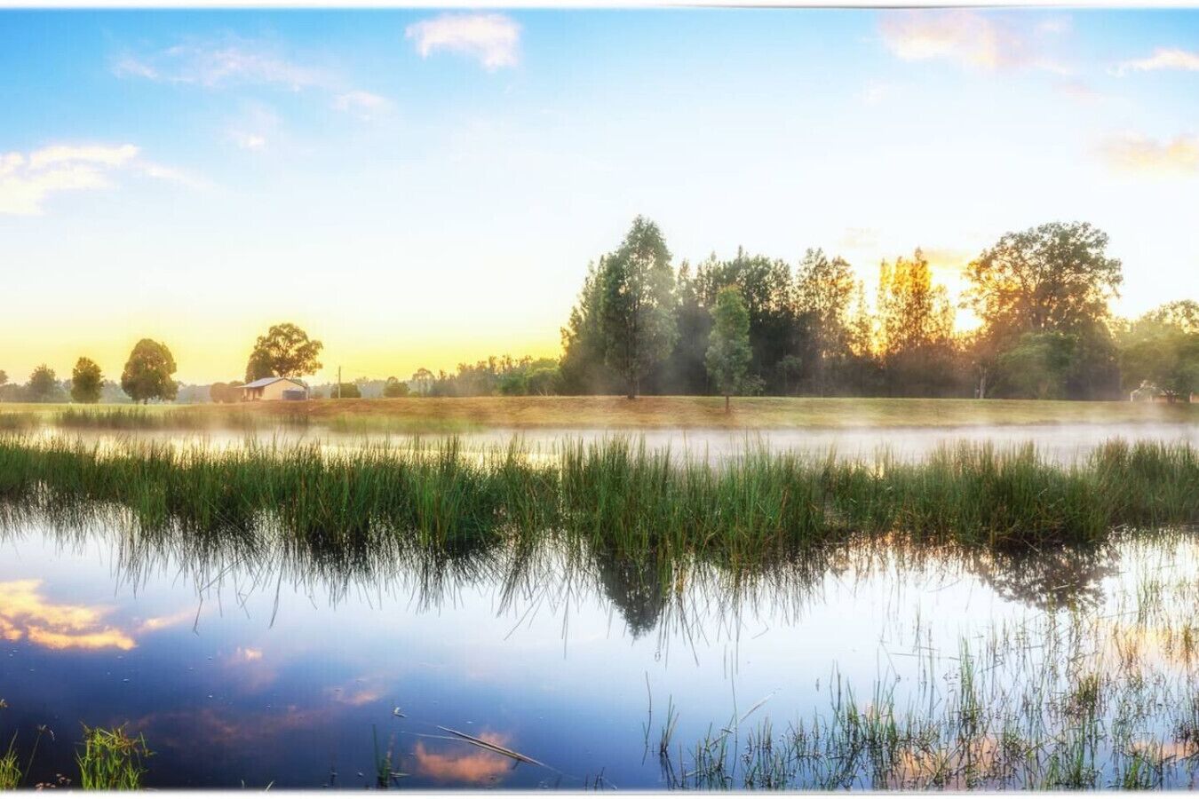 A calm lake with reflections of trees and a clear sky.