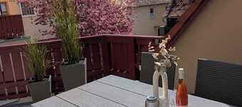 Stork's Nest vacation apartment Large vacation apartment with roof terrace for 1-6 people