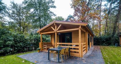 Ferienhaus in Markelo nahe Wald und Pool