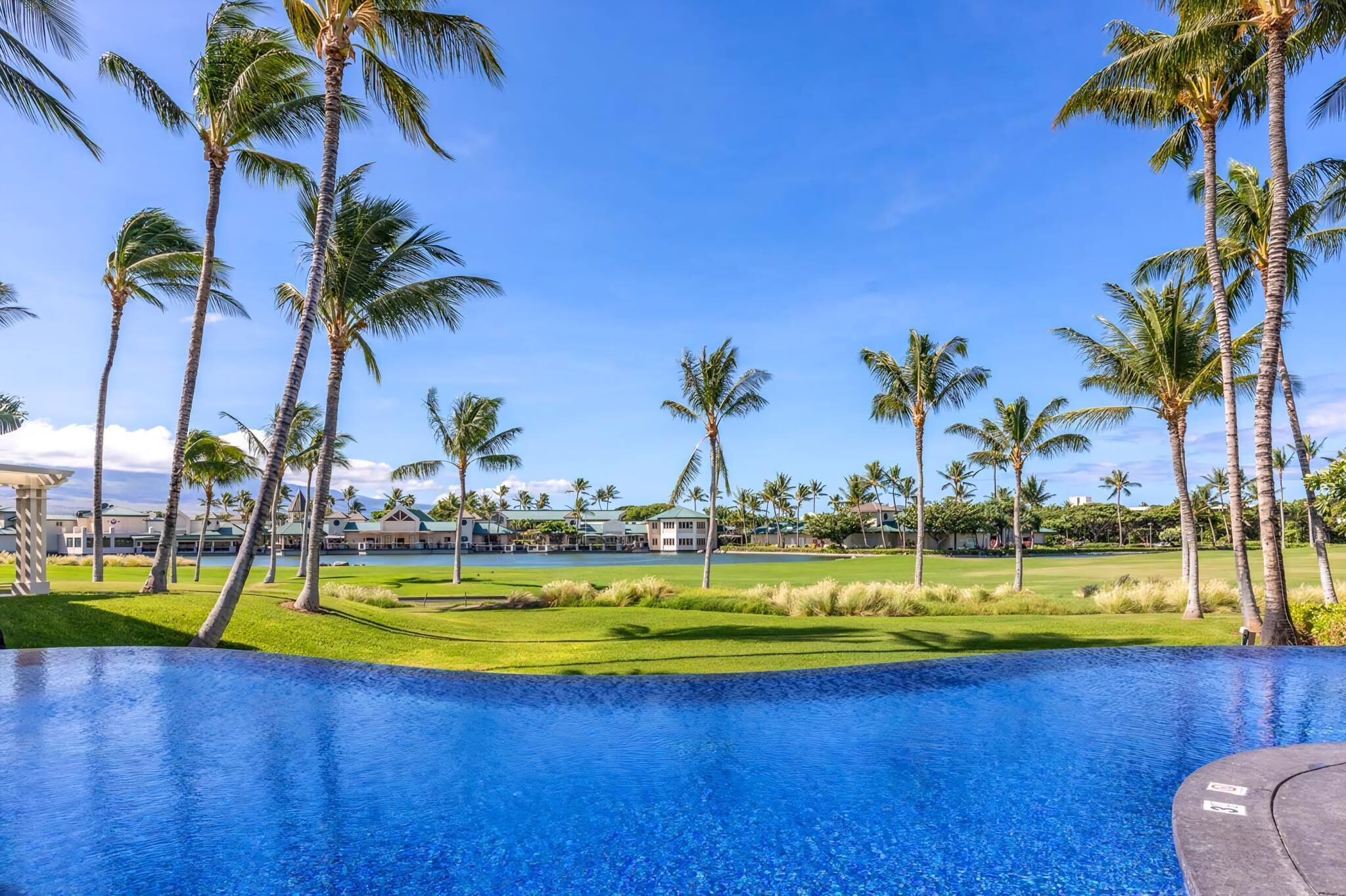 Ein Pool mit Blick auf einen Golfplatz und Palmen.