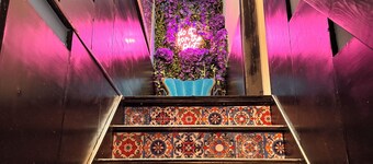 Lakeshore Full Apartment -  Steps to Bars & Fun in Port Credit