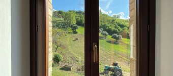 Relax in our Bed & Breakfast between horses and olive trees.