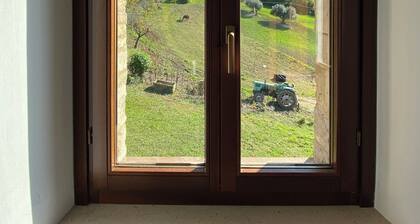 Relax in our Bed & Breakfast between horses and olive trees.