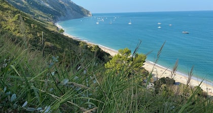 Relax in our Bed & Breakfast between horses and olive trees.