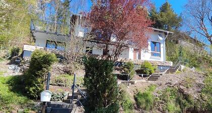 Chalet on the Diemelsee with lake view, sun terrace and much more. Pet friendly