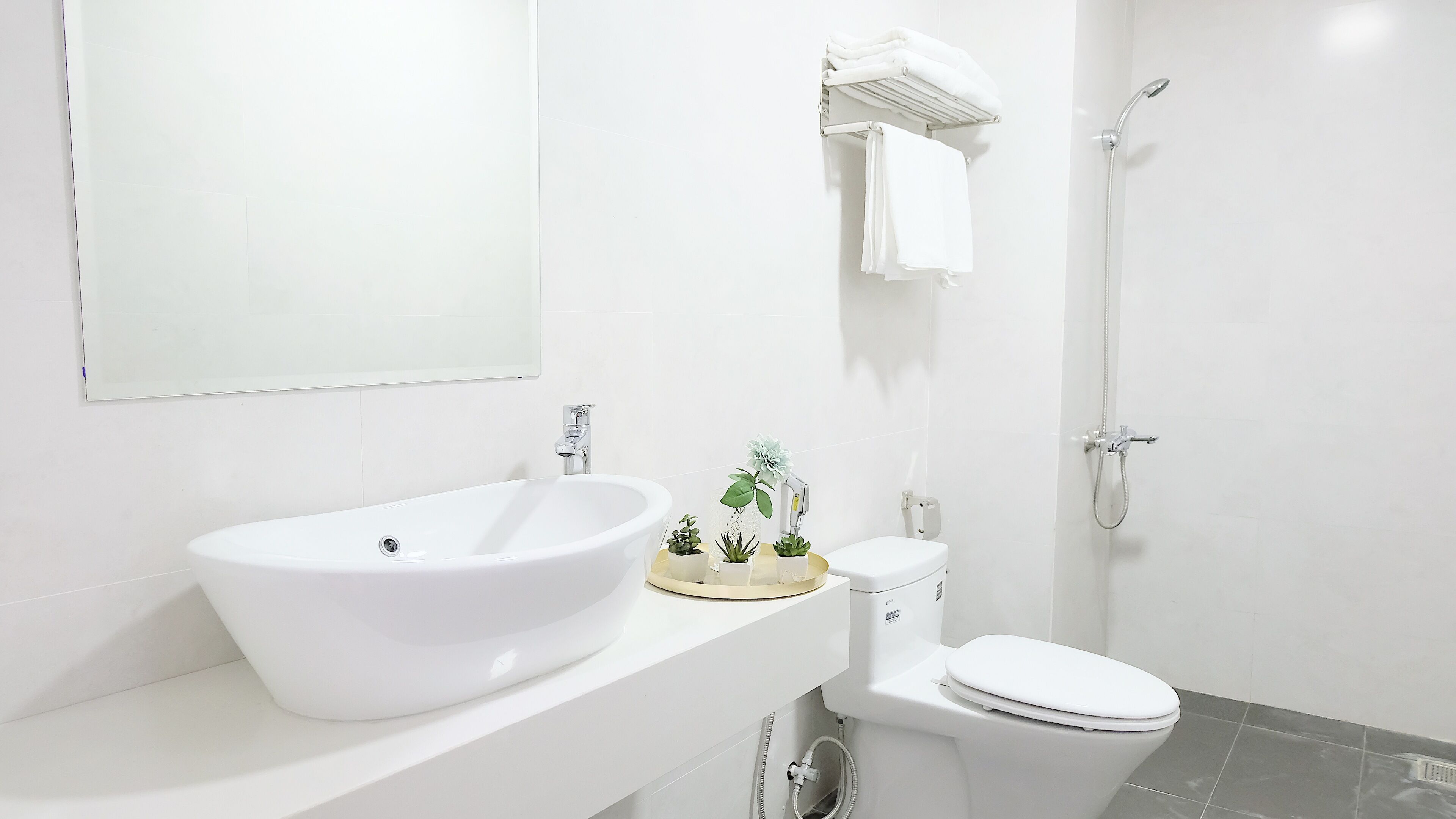 Hair dryer, towels, soap, toilet paper