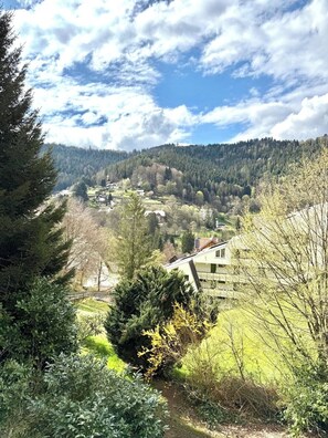 Property grounds - 1-room apartment | near thermal baths & suspension bridge (Bad Wildbad)