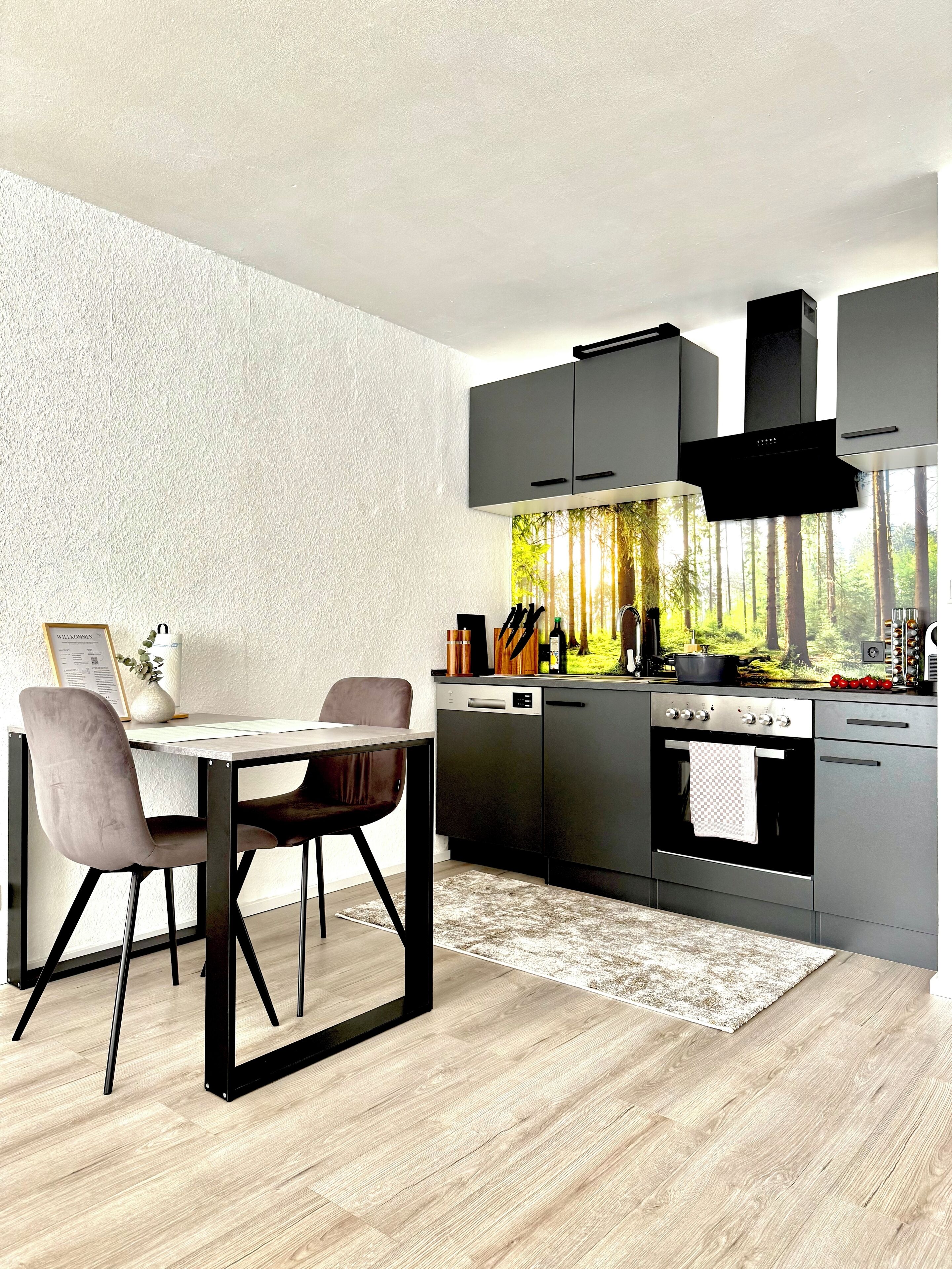 Kühlschrank, Ofen, Herdplatte, Geschirrspüler