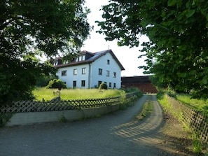 Een tweelaags huis met schuin dak, omgeven door groen en een geplaveid pad.