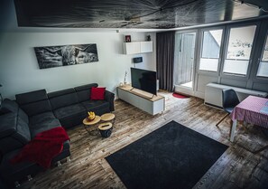 TV, video games, table tennis