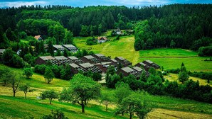 A rural village with traditional houses, a church, and a forested hill.