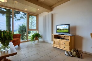 Fernseher, Stereoanlage