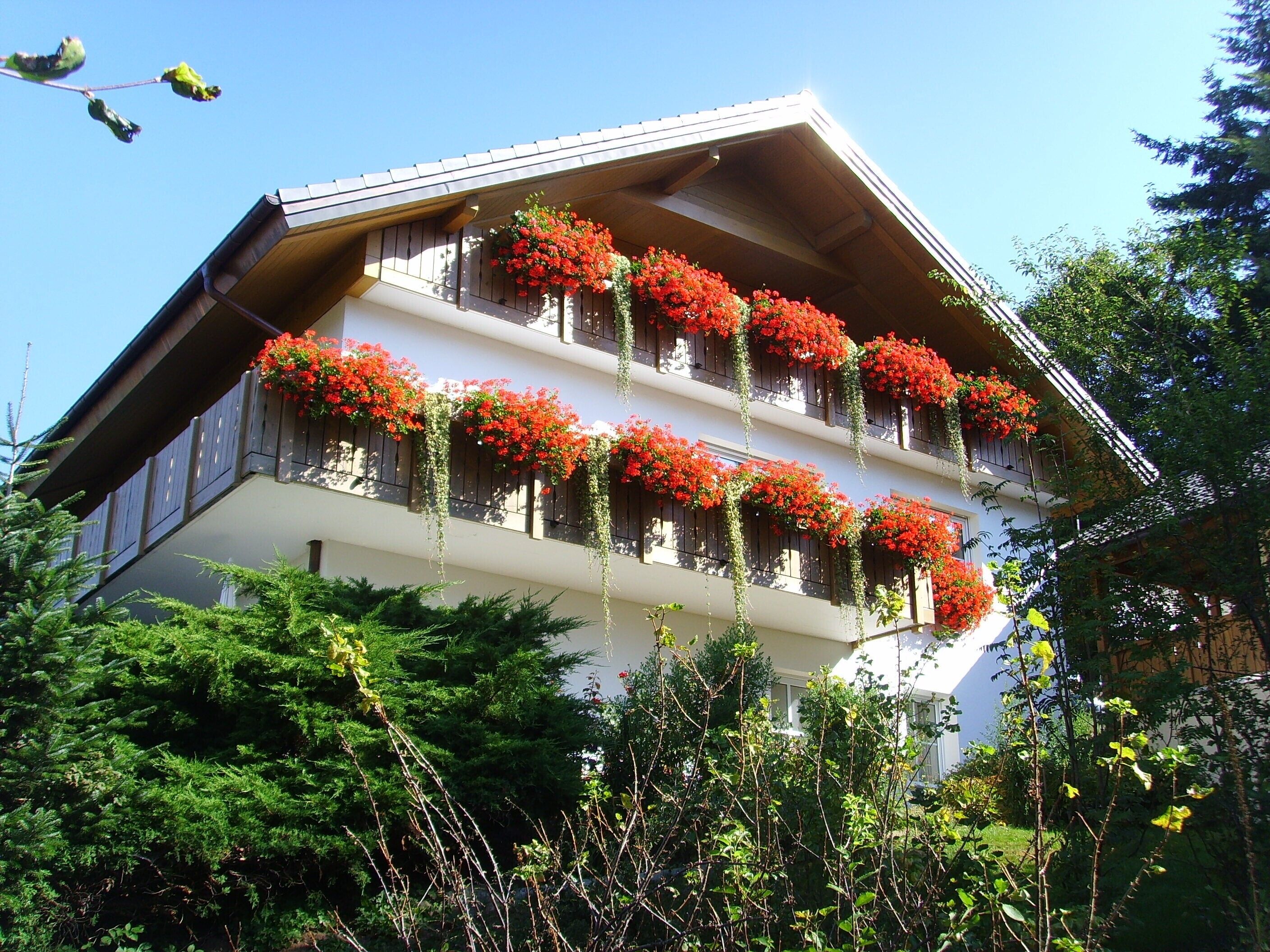 Un immeuble à plusieurs étages doté de balcons ornés de fleurs rouges et de verdure.