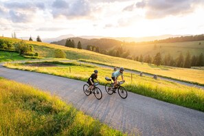 Deux cyclistes sur une piste asphaltée, avec des zones herbeuses et des arbres en arrière-plan.