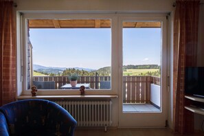 Fernseher, Stereoanlage