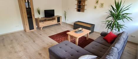 Fernseher