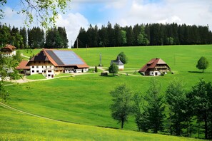 Ländliche Landschaft mit einem großen Haus, das ein Solardach hat, umgeben von grünen Feldern und Bäumen.