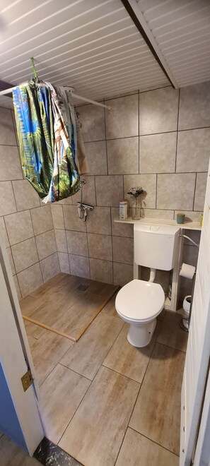 Assecador de cabells, tovalloles, sabó i paper higiènic 