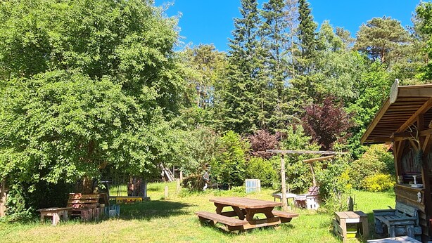 A rustic outdoor area with picnic tables and a wooden structure, surrounded by lush greenery and trees. - Tiny house in the Wingster Forest, near Nordesse, peace & relaxation in nature (Wingst)