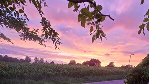 A rural road with a stone pathway and a field of corn. - Apartment 'Lütt Stuv' with Private Terrace, Shared Garden, and Wi-Fi (Fockbek)