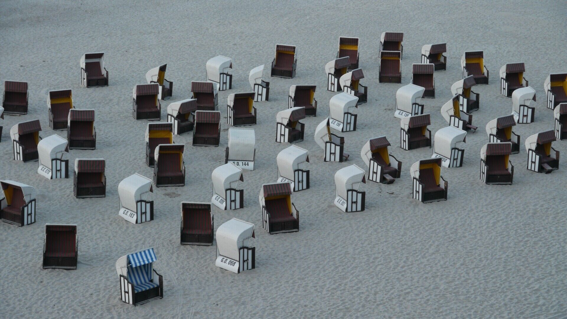 A beach with numerous beach chairs arranged in rows.
